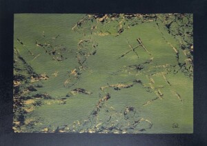 acrylic, organza and thread on cotton canvas, 50 x 70 cm